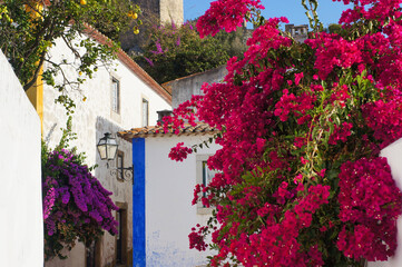 Old Buildings and Bougainvillea Flowers on Narrow Streets of Medieval Town Obidos, Portugal.            