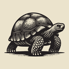 Galapagos tortoise.  Vintage retro engraving illustration. Black icon, isolated element	