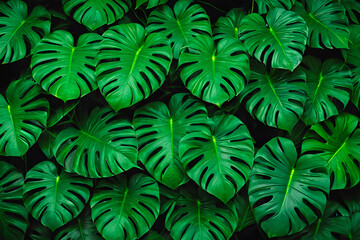 Tropical Oasis: Lush Green Foliage - Perfect Nature Background. generative AI