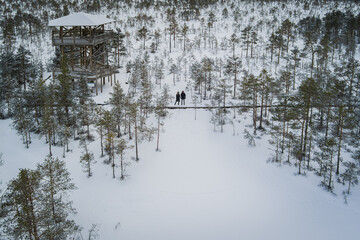 A couple near the observation tower on the Viru swamp on a winter day, photo from a drone.