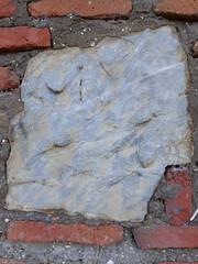 Urban Fossil - Nature's Imprint in Brick Surroundings