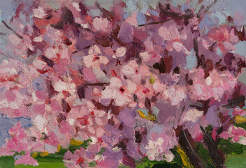Blooming tree oil painting. Pink plum blossoms hand-painted with paints. A beautiful artistic background for the design of postcards, websites, and printing. The concept of tenderness, spring romance - 790164597