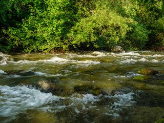 Obraz premium fast wild river with mountains in background in summer