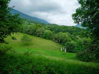 misty summer morning in countryside