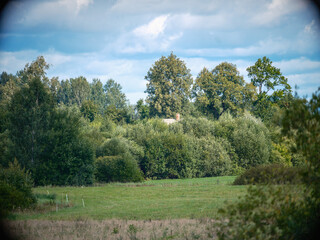 Fototapeta premium misty summer morning in countryside