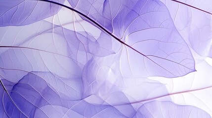 Abstract lavender. Leafy shapes dance on translucent planes. Modern, minimalist net art with a touch of nature.