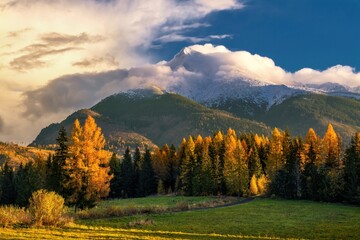 Beautiful autumn alpine landscape with a meadow, colored trees, in the background a massive mountain ridge. Mountain forest. Autumn walks in nature. Krivan, Tatras, Slovakia