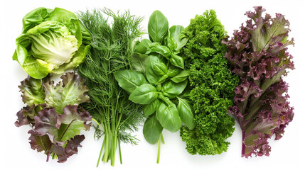 Healthy, natural, dietary food rich in vitamins. Herbs and vegetables on a light background.