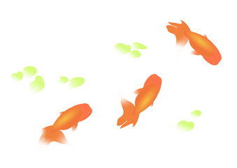 シンプルな赤い金魚のイラスト(ベクター