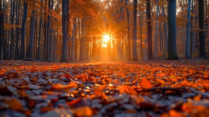 Dappled Sunlight Dance: A Symphony of Light and Shadow in the Forest