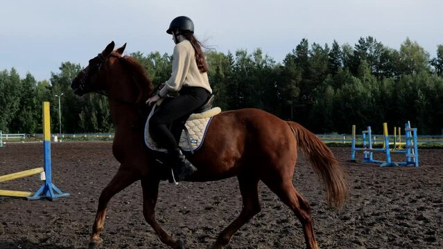 Young woman riding a horse, rides in an equestrian club. Woman equestrian riding a horse on a training field. Riding a horse in an equestrian club, a woman rides a horse