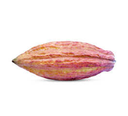 Fresh cocoa fruits isolated on white background