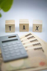 お金と税金イメージのTAXの文字ブロック