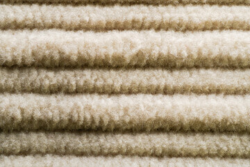 a close-up shot of ivory corduroy clothes