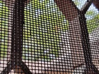 Close up of a metal mesh on a window in the garden