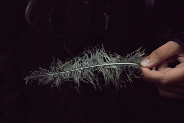 Girl holding a down feather of an owl