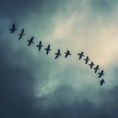 Fototapeta premium a group of birds flying in the sky