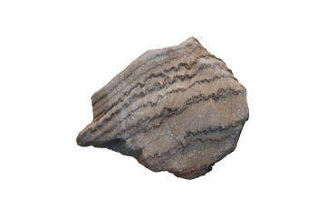 Sample of folded rock stone isolated on white background.