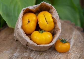Juicy yellow Dwarf Sweet Sue tomatoes are packed in craft eco-friendly packaging. Local farmes market sells fresh organic products. Concept gardening and agriculture. Freshly picked fruits in garden