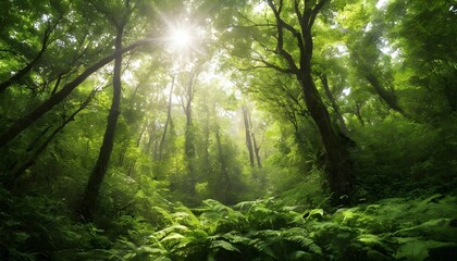 Sunlight filtering through the canopy of a lush gr upscaled 4 - obrazy, fototapety, plakaty