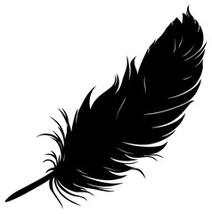 black bird feather silhouette without background