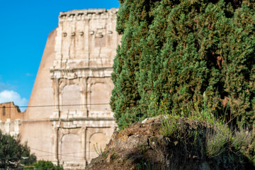 Fototapeta premium Le long du Colisée à Rome
