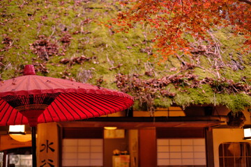 紅葉と和傘と古民家の屋根