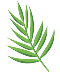 Green plant vector illustration