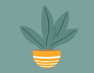 House plant in pot vase scandinavian cozy home decor