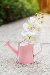 A pink watering can with an orchid inside on garden background. spring and gardening concept.