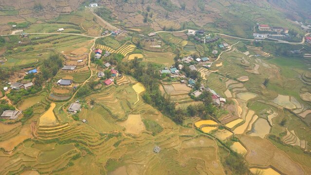 Top view of terraced paddy field and traditional houses of Muong Hoa valley, Fansipan mountain, Sa Pa town, Vietnam.