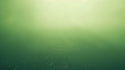 Green abstract background with grass and sunbeams. Nature background.