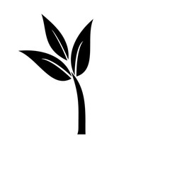 Plant leaf Icon, black and White Leaf Icon