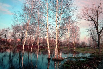 Fototapety na wymiar - Fototapeta24.pl