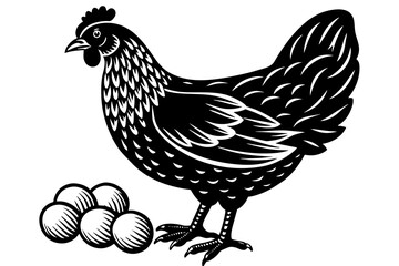 Chicken with eggs vintage illustration vector set
