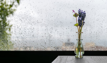 Glass vase with wild flowers in a home window on a rainy spring morning