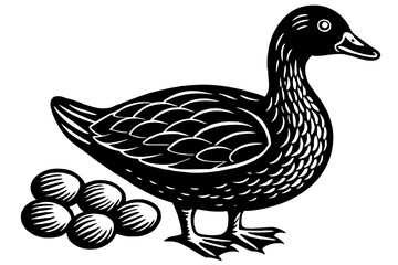 Duck with eggs vintage illustration vector set