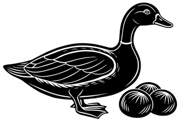 Duck with eggs vintage illustration vector set