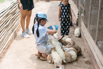 Mother and two daughters are feeding rabbits in farm
