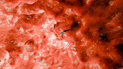 Bowel Colorectal, Colon waving, vaginal muscle movement, pelvic floor anatomy, Pelvic floor muscle, Pelvic organ prolapse, Kegel exercises, intestine inflammatory bowel Disease, colonoscopy, 3d render