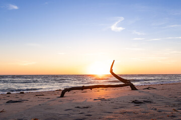 Sun setting behind drift into the Gulf of Mexico at Caspersen Beach, Florida, USA