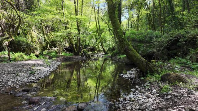 Scenic hiking trail "Gole del Biedano", near the villages of Barbarano Romano and Blera. Province of Viterbo, Lazio, Italy.