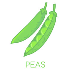 Peas vegetable lcolored icons illustration