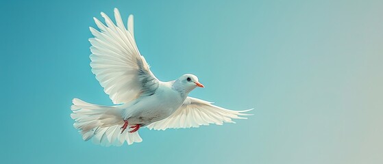 White dove soaring through a clear blue sky, a universal symbol of peace