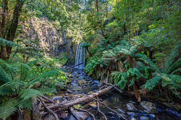 Waterfall in Maits Rest, Great Otway National Park, Australia