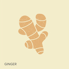 Cute ginger root plant isolated on white background. Spicy herb pictogram in vintage style