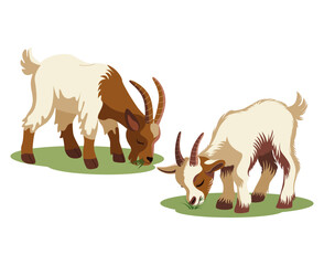 Two goats in the meadow eating grass. Livestock. Agricultural crop. Vector. Used for collages, prints, stickers, web design