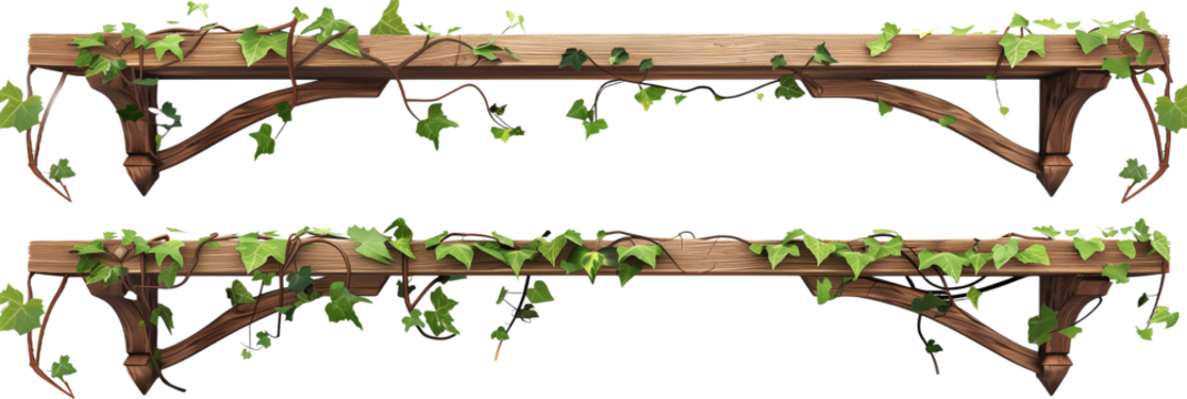 set of different wooden shelves intertwined with lush creeper vines, each adorned with delicate leaf motifs, isolated on transparent background