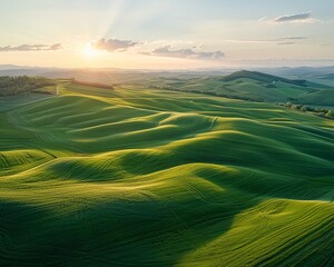 The fields seem to stretch on forever, a vast expanse of green that fills the horizon, a testament to the beauty and resilience of nature 8K , high-resolution, ultra HD,up32K HD