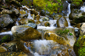 Fresh water mountain stream cascades over smooth boulders and mossy rocks